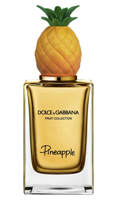 by by dolce gabbana perfume|dolce and gabbana unisex fragrance.